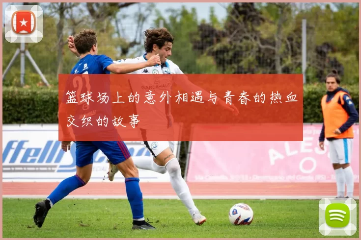 篮球场上的意外相遇与青春的热血交织的故事